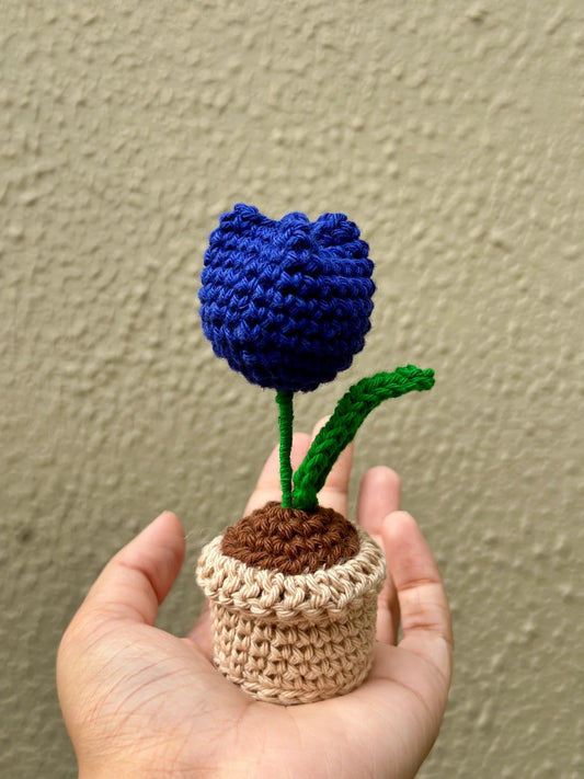 Mini Crochet Flower Pot – Handmade Yarn Plant | Cute Desk Decor | Amigurumi Gift | Tiny Plant Plush (Copy)