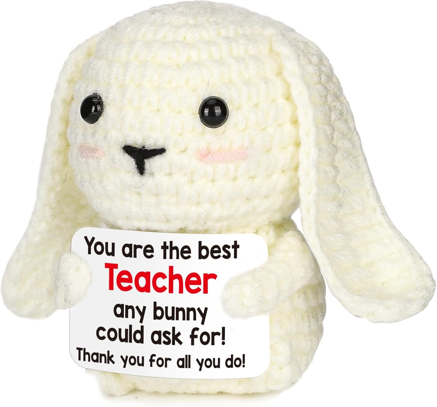 Handmade Crochet Doll with Positive Quote, Cute Plush Toy Gift | Uplifting Gifts for All Ages